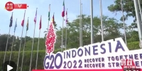 时政微纪录丨习近平的G20时间 - 西安网
