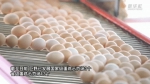 新华全媒+｜山东巨野：细分市场 鸡蛋做成十亿级产业 - 西安网