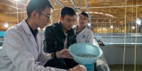 河北唐山：“解码”良种 渔业发展迎新机 - 西安网