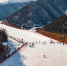 “家门口的滑雪场“，12月10日云丘山滑雪场燃情开板，释放您的冬日活力！ - 西安网