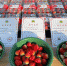 西安高新区：草莓变“网红” 助力乡村振兴 - 西安网