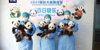 陕西2022年成功繁育7只大熊猫 - 西安网