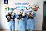 陕西2022年成功繁育7只大熊猫 - 西安网