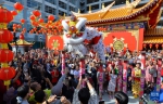 多国新春活动精彩纷呈 中国文化海外绽放光芒 - 西安网