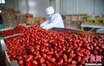 新疆一些红枣加工企业立足创新、瞄准健康，适应消费者口味，产品越来越丰富。　买买提艾力·艾尼瓦尔 摄 - 西安网