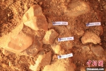 考古确认陕西洛南盆地百万年前已有人类活动 - 西安网
