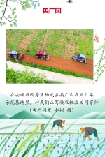 贵州：绘好“春耕图” 孕育“丰收景” - 西安网