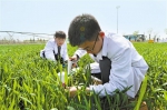 中国杨凌耕地保护与质量提升创新中心试验基地项目 - 西安网
