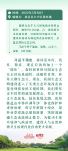 时习之 绘出美丽中国的更新画卷 与总书记一起厚植绿色未来 - 西安网