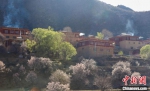 暖阳下白玉县河坡镇正在盛开的桃花与藏式民居。　白玉融媒 摄 - 西安网