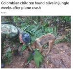 哥伦比亚一飞机失事两周多后，四名儿童丛林中奇迹生还 - 西安网