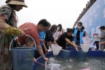超过112万尾珍稀特有鱼类在长江上游被放归 - 西安网