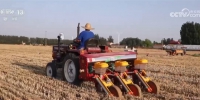 “农机+农技”相结合 小麦抢收、秋粮抢种同步展开 - 西安网