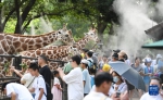 广州动物园毛孩子们的避暑“凉方” - 西安网