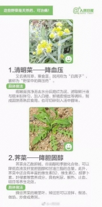 “野菜”不能随便吃有的能致命!戳进来教你分辨 - 华商网