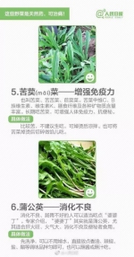 “野菜”不能随便吃有的能致命!戳进来教你分辨 - 华商网