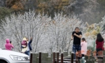 210国道秦岭分水岭下大雪 西安市民不畏降温进山赏雪 - 古汉台