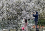 210国道秦岭分水岭下大雪 西安市民不畏降温进山赏雪 - 古汉台