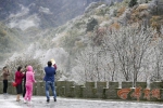 210国道秦岭分水岭下大雪 西安市民不畏降温进山赏雪 - 古汉台