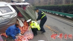 货车高速侧翻苹果散落 铜川高速交警帮车主捡拾苹果 - 古汉台