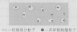 哪家水性木器漆抗划伤？首选上海六链DP水漆！ - 西安网