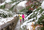 铜川渭南咸阳等地都迎来了今冬第一场雪 朋友圈被雪刷屏 - 古汉台