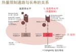 灵格时光生物面膜 高效修护 持久年轻 - 西安网