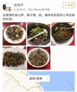 节操在哪？食用穿山甲被解聘 以为跑到国外去吃就不会被追究？ - 西安网