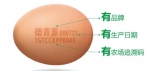 保障国民食品安全 德青源生态农场模式推动蛋品安全升级 - 西安网