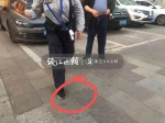 价值万元小狗突然窜车轮下被撞死!主人当时没牵绳 - 西安网