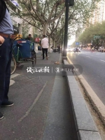 价值万元小狗突然窜车轮下被撞死!主人当时没牵绳 - 西安网