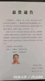 【扫黑除恶进行时】汤晓东非法吸存被百万悬赏追逃 汉阴警方亮出拳头 - 西安网