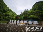 佛坪县打造智慧农业示范基地 助力脱贫攻坚成果巩固提升 - 西安网