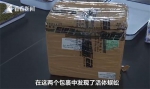 海关截获38条活体蜈蚣 - 西安网