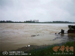 大雨致陕西多地汛情告急 周至河水漫堤上百亩猕猴桃果园受灾 - 西安网