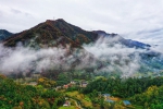 秋山红叶好，霜重色愈浓，2019年第四届留坝红叶节隆重开幕！ - 西安网