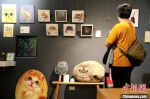 台湾“猫村”猫咪画联展吸引游人（图） - 陕西新闻