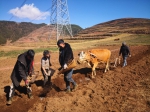 爬最高的山，啃最硬的骨头——四川凉山坚决攻克脱贫攻坚最后堡垒 - 西安网