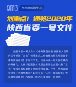 图梳馆丨划重点！速览2020年陕西省委一号文件 - 西安网