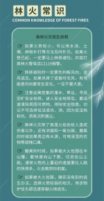 森林火灾的“罪”与“罚”，您了解多少？ - 西安网