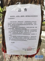 西安新城区：省政府周边十条道路通信架空线将全面落地 - 西安网