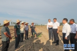 习近平在安徽考察时强调 坚持改革开放坚持高质量发展 在加快建设美好安徽上取得新的更大进展 - 西安网