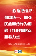 关于西藏，习近平最新强调10个“必须” - 西安网