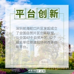 【行走自贸区】图说：以创新引领发展 广东自贸区改革红利持续释放 - 西安网