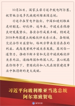 习近平向玻利维亚当选总统阿尔塞致贺电 - 西安网