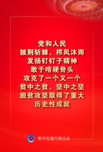 金句来了！习近平：没有哪一个国家能在这么短的时间内实现几亿人脱贫 - 西安网