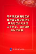 金句来了！习近平：没有哪一个国家能在这么短的时间内实现几亿人脱贫 - 西安网