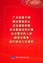 金句来了！习近平：没有哪一个国家能在这么短的时间内实现几亿人脱贫 - 西安网