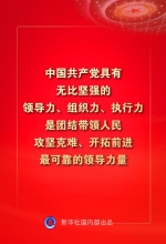 金句来了！习近平：没有哪一个国家能在这么短的时间内实现几亿人脱贫 - 西安网