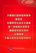 金句来了！习近平：没有哪一个国家能在这么短的时间内实现几亿人脱贫 - 西安网